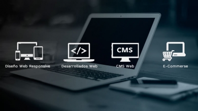 Imagen del servicio: SISTEMAS WEB A MEDIDA